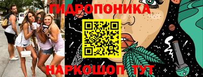гашик Ирбит