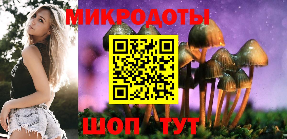 Биробиджан  Галлюциногенные грибы Psilocybe  Вход с VPN 
