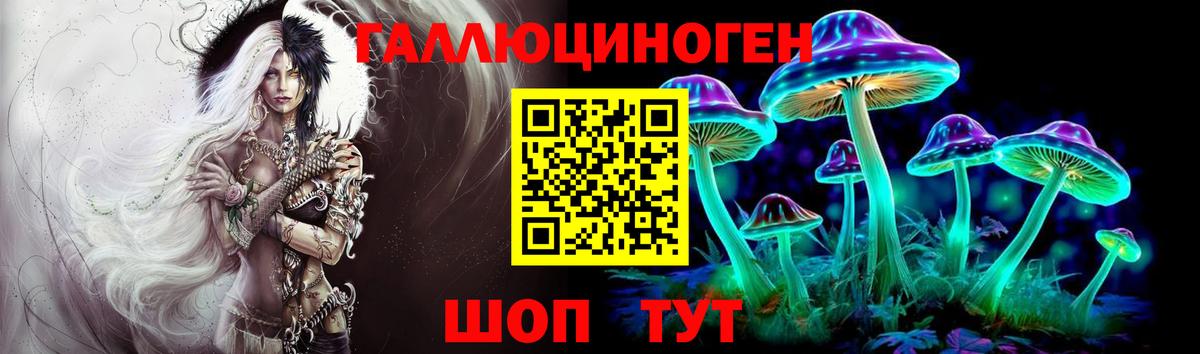 Галлюциногенные грибы Psilocybe Биробиджан